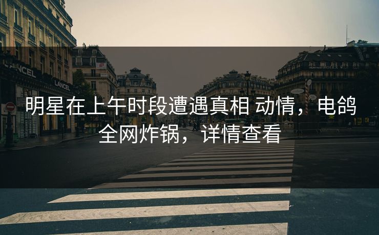 明星在上午时段遭遇真相 动情，电鸽全网炸锅，详情查看