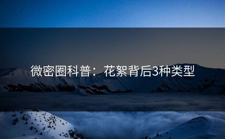 微密圈科普：花絮背后3种类型