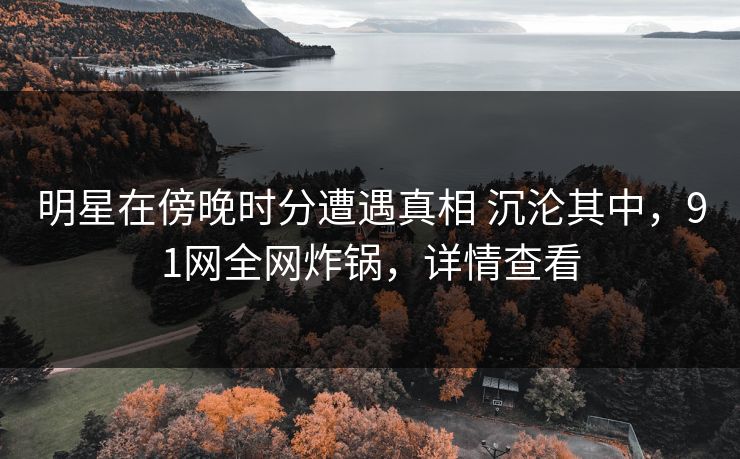 明星在傍晚时分遭遇真相 沉沦其中，91网全网炸锅，详情查看