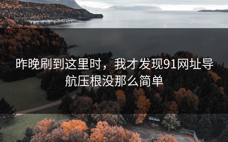 昨晚刷到这里时，我才发现91网址导航压根没那么简单